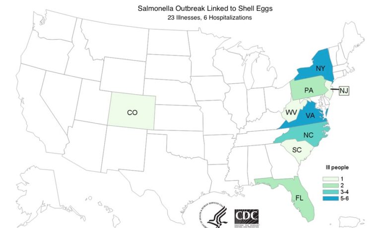 Salmonella Outbreak Linked to Shell Eggs Sickens 23 in 9 States