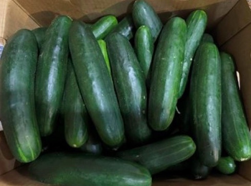 Cucumber Salmonella Recall, Outbreak