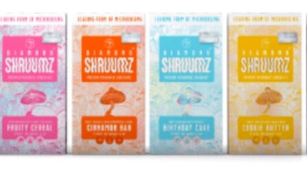 Shruumz Microdosing Chocolate Bars