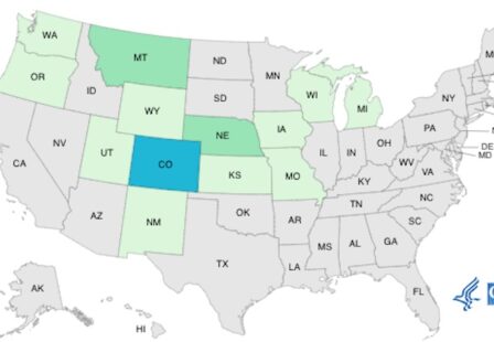 McDonald's E.coli Outbreak 10/25/24