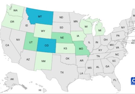 CDC Map of McDonald's E.coli outbreak